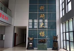湘钢科研中心
